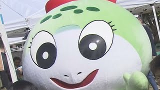 幻の生物「つちのこ」を見つけたら131万円！4年ぶりにガチンコ捜索！村長も「本当にいると信じています」岐阜・東白川村で「つちのこフェスタ」