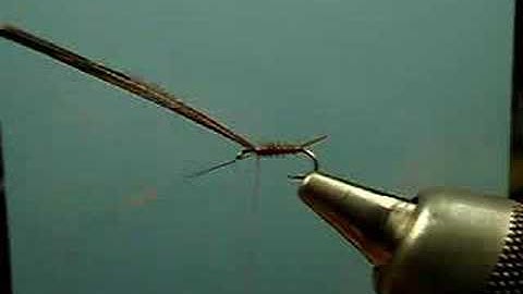 Pheasant Tail Nymph