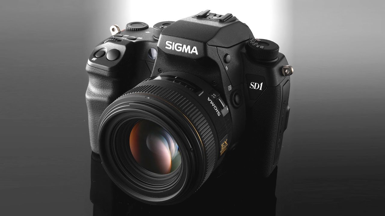 Produktdatierung Informationsausweis Sigma