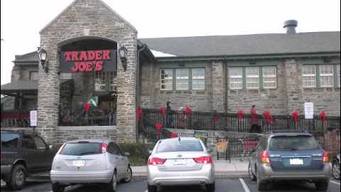 Google Trader Review