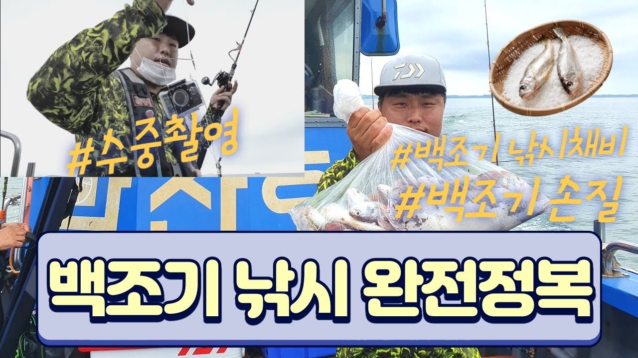 백조기낚시도중 수중촬영/백조기낚시채비/백조기 손질 - YouTube