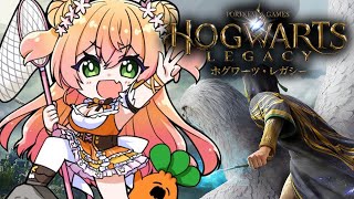 桃鈴ねねの配信のサムネイル画像