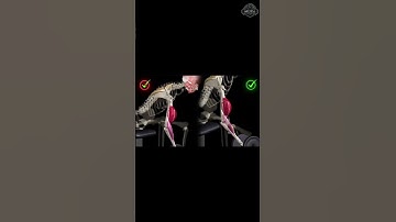 Common mistake: Lack of stabilization of the scapula during curlsWhen the biceps brachii contracts,