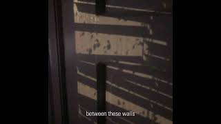 walls (interlude)