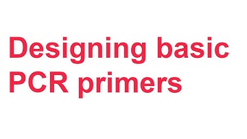 Tutorial 1: Designing basic PCR primers