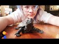 Playful Turtle Follows His BFF Mom Like a Dog | The Dodo