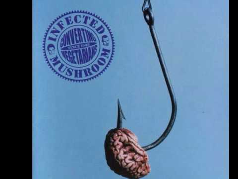 Infected Mushroom - I Wish