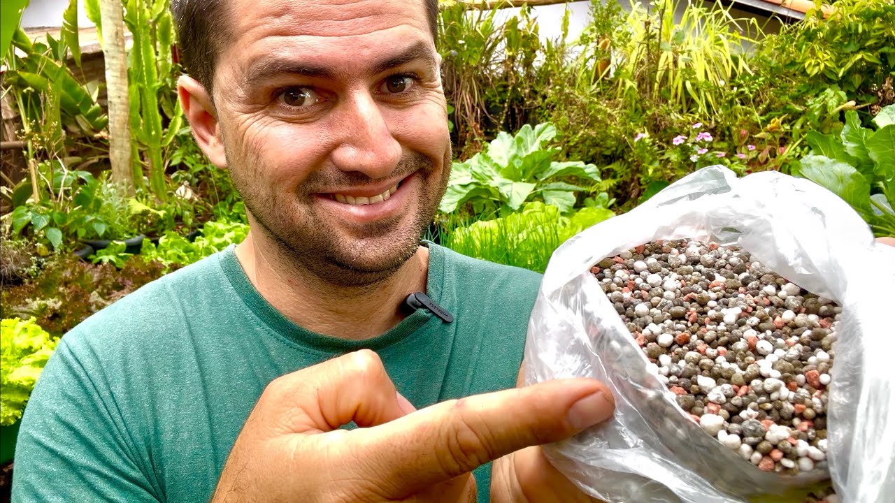 NPK É BOM? COMO DEVO USAR?