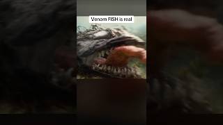 we got venom fish before gta 6