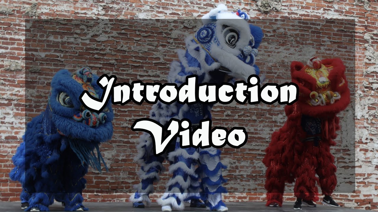 Lion Dance 101