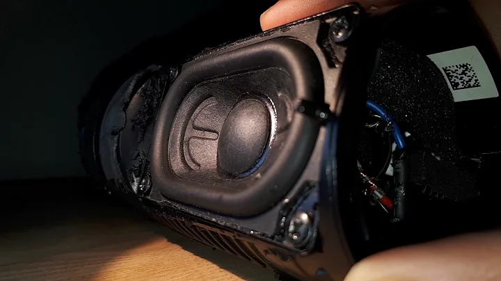 JBL Flip 5 TL insane excursion on 100% LFM!!!