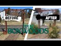 Free Boxwoods & Perennial Cleanup 🌿✨ | Simple Garden Revamp! 🪴🌸
