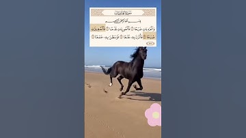 جمال سورة العاديات في شرح مبسط و اكثر من رائع الجزء الاول