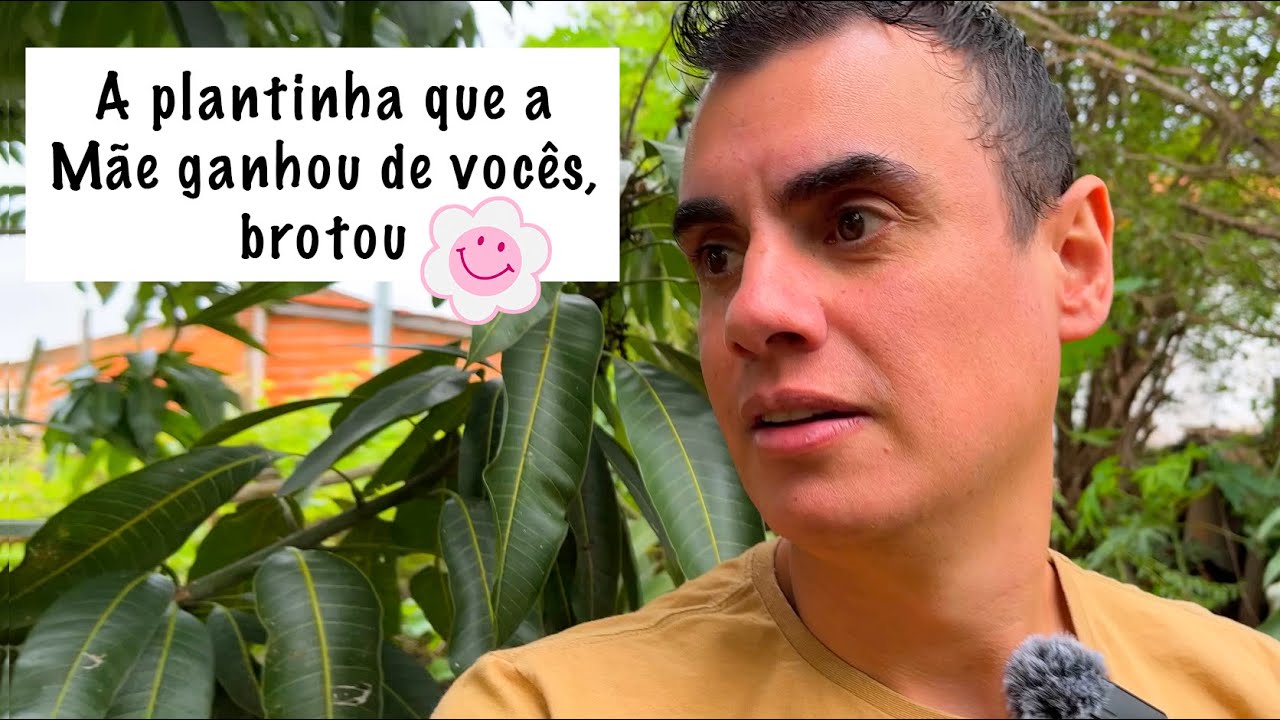 VEJAM COMO ESTÃO TODAS AS PLANTAS DA MÃE - Fubá online