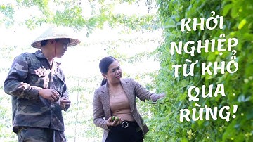 Khởi nghiệp từ khổ qua rừng