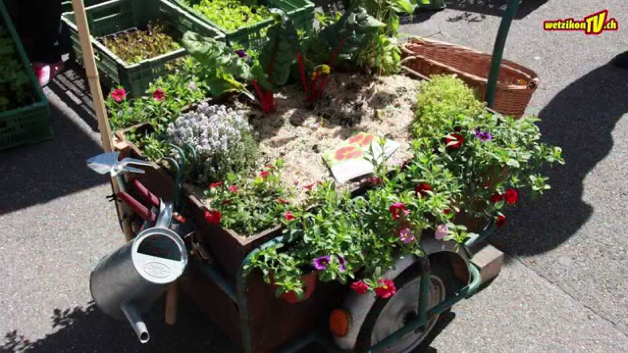 Wetzikon TV - Wochenmarkt auf dem Leueplatz