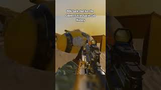 Is this the BEST Easter Egg in COD History?