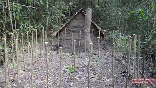 Primitive Technology  Sweet potato patch - JOHN NI