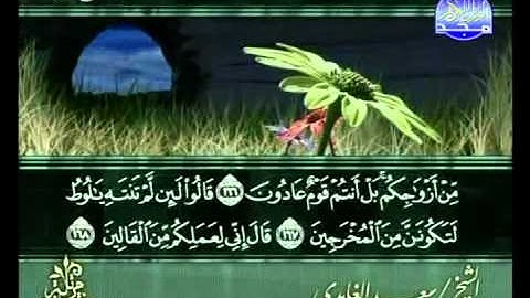 المصحف المرتل للقارئ الشيخ سعد الغامدي | الجزء ( 19 )
