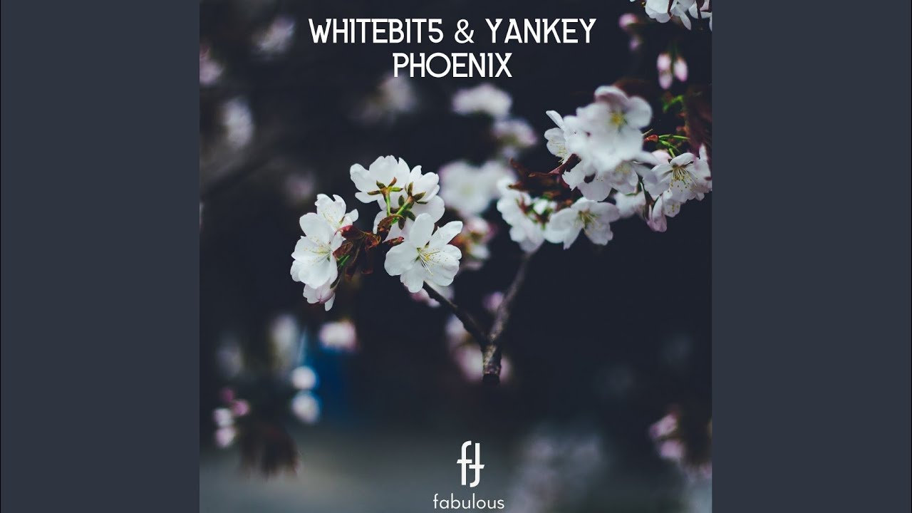 Watch Phoenix (Original Mix) on YouTube Watch Phoenix (Original Mix) on YouTube