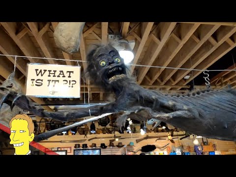 EXPLORING SEATTLE&rsquo;S YE OLDE CURIOSITY SHOP