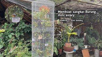 MAKING A MINI AVIARY