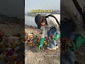 restore Agra's natural beauty by collecting 800kg of waste at Hathi Ghat 🤝♻️ #ecowarriors #ytshort