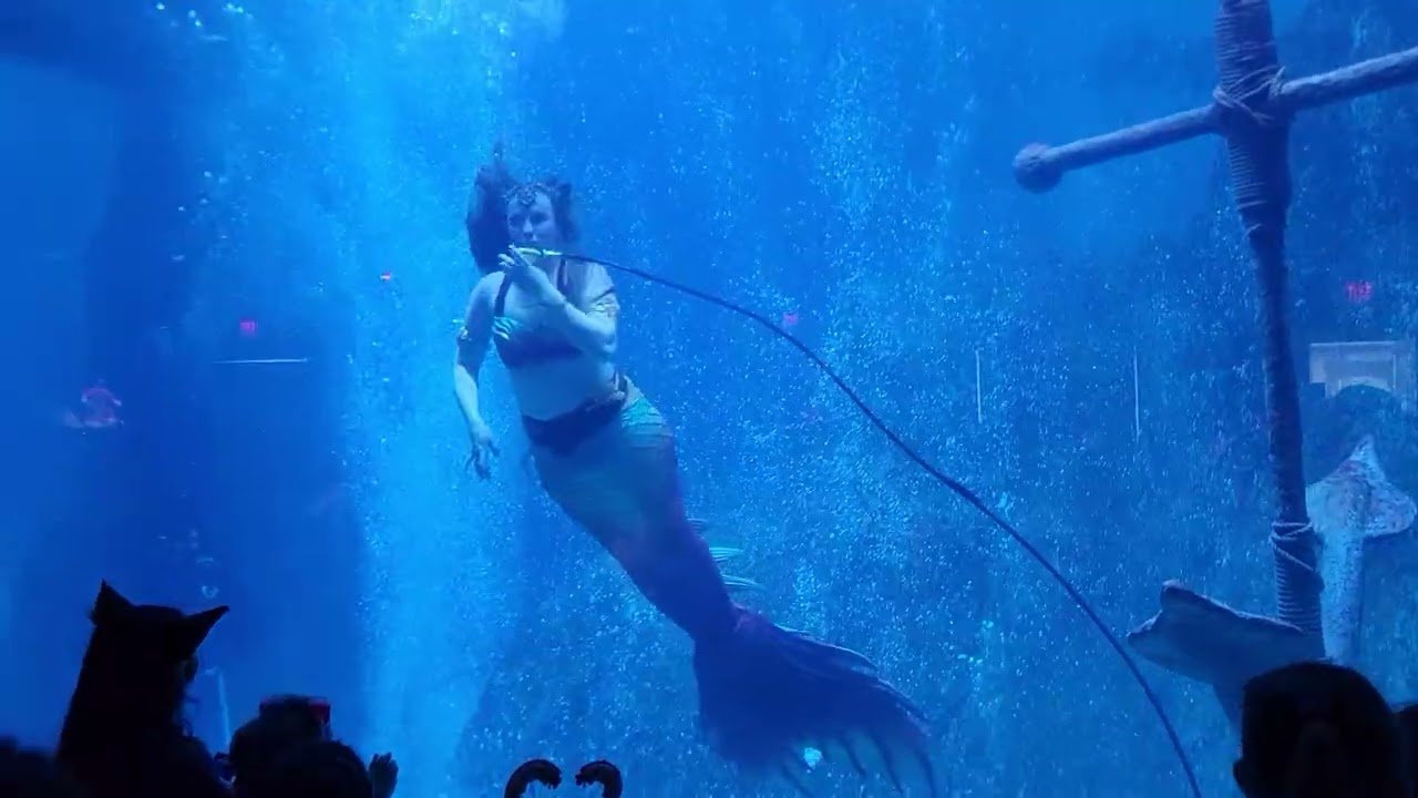 My little Mermaid 🧜‍♀️ 💖 💙 💕 