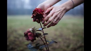 ♫♫ I The Rose ♫♫ - Westlife