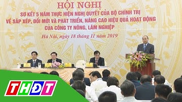 Chậm sắp xếp, đổi mới các Công ty Nông, Lâm nghiệp | THDT