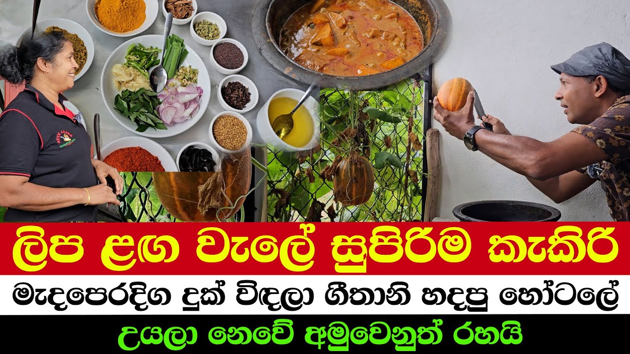 Cucumber Magic by the Fence | Geethani’s Hotel Born from Middle East Hardships