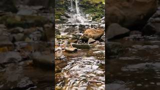 Кравцовские водопады, национальный парк «Земля леопарда» #travelvlog #приморскийкрай #водопады