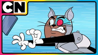 COMPILATION: Cats of Cartoon Network | Cat-stravaganza