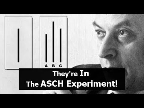 They&rsquo;re In The ASCH Experiment!