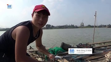 CÂU CÁ CHÉP KHỦNG SÔNG HỒNG |BẰNG BÀI MỒI TỰ LÀM ĐƠN GIẢN | KHẮC ĐÔNG 214566