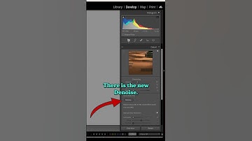 New A.I. based noise reduction in both LR and Lightroom Classic #shorts