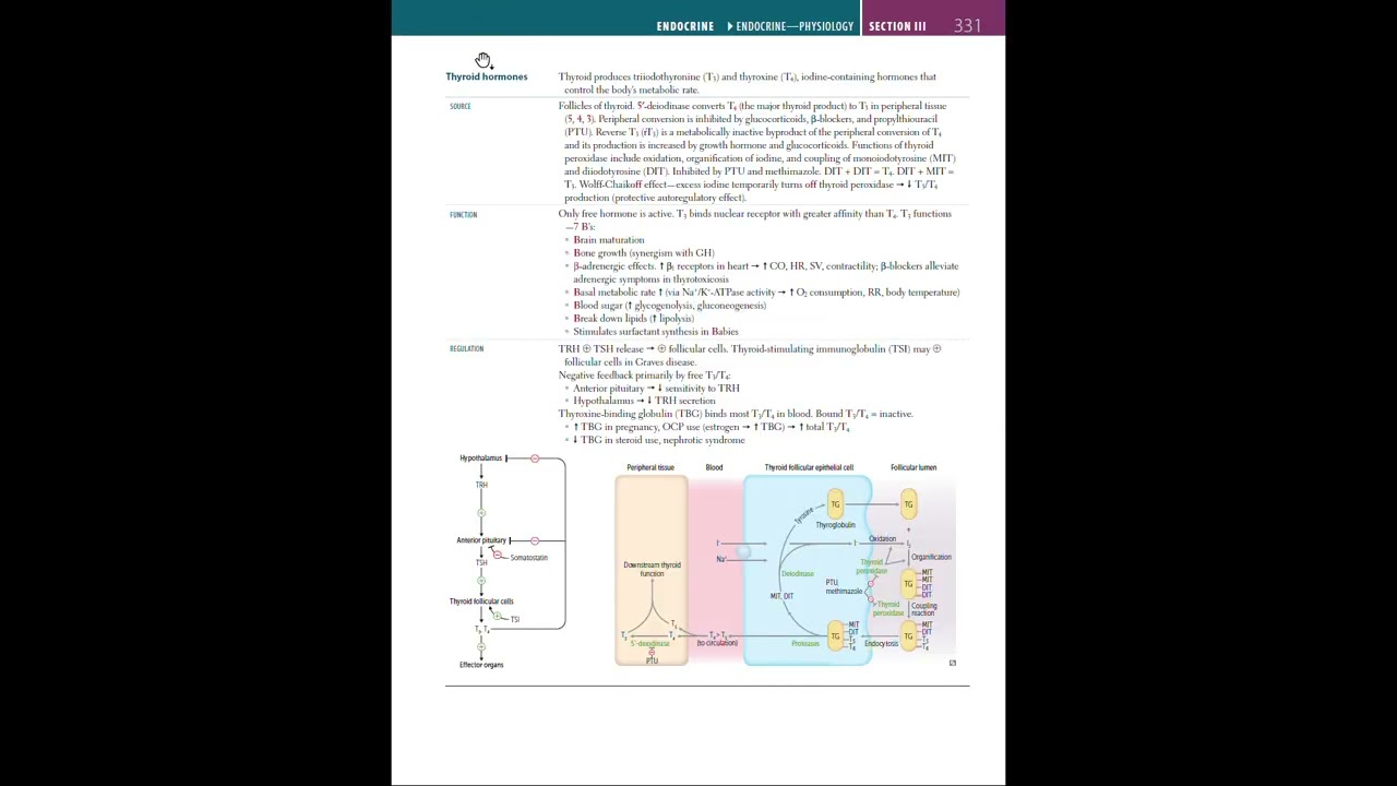 Endocrine Part 2 - First Aid for the USMLE Step 1 2020