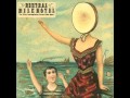 Neutral Milk Hotel - In The Aeroplane Over The Sea