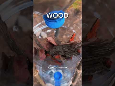 фильтрация воды в лесу