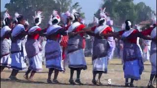 karma dance || 48 village  ||  हाए रे सरगुजा नाचे || HD song video 2018