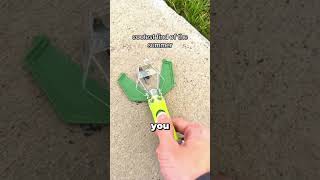 Detalles The Coolest Bug Catcher You’ll Ever See 🤯 Noticias