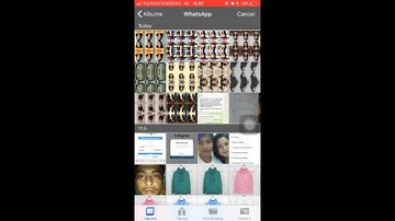 tutorial cut cute pro ccp mudah (easy)