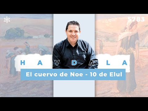 El cuervo de Noe 10 de Elul | More Dudu Rubio | Yovel 🇨🇴