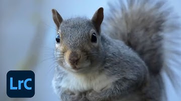 Creating Photo Presets for Desktop with Kristi Odom & Paco Siller - 1 of 2 | Adobe Creative Cloud