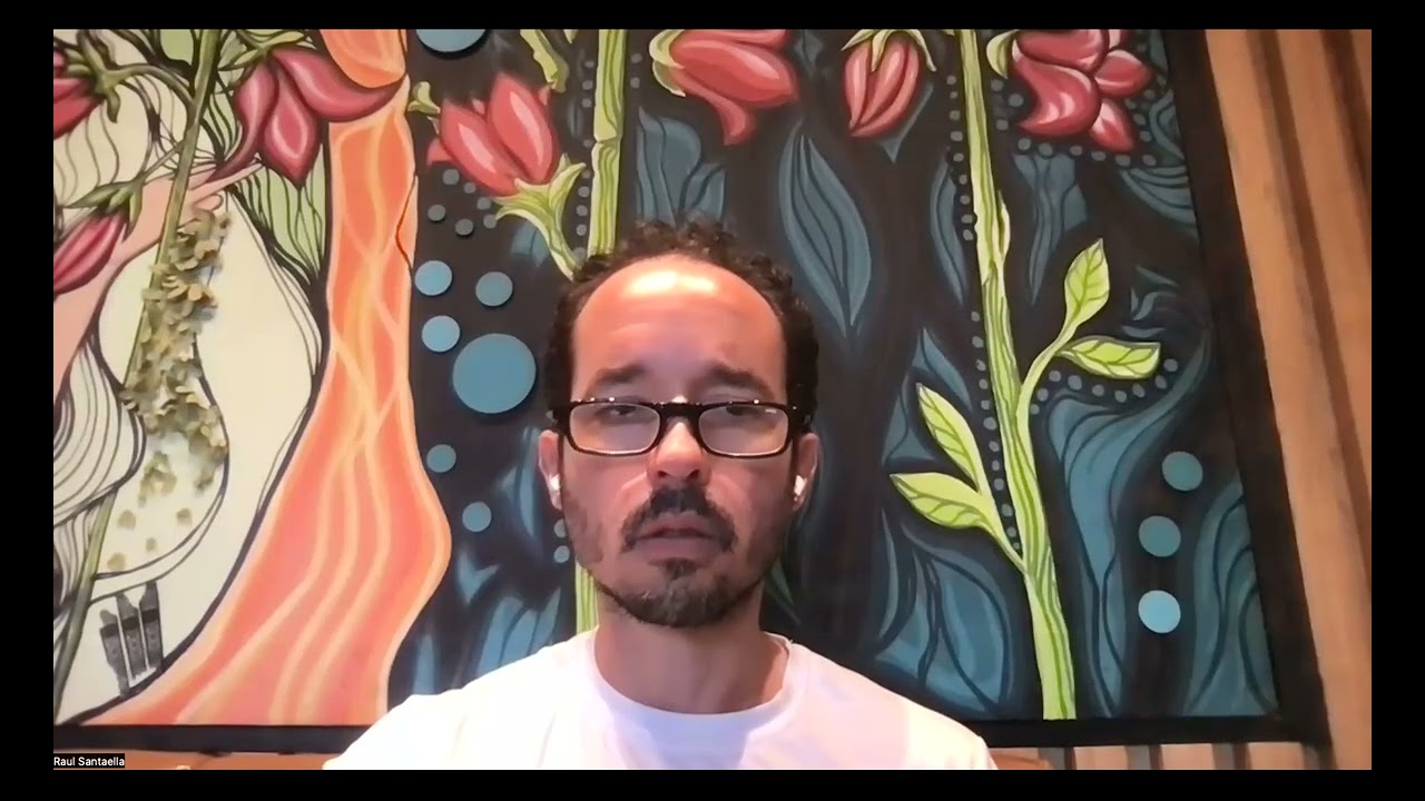 Raul — YouTube walkthrough