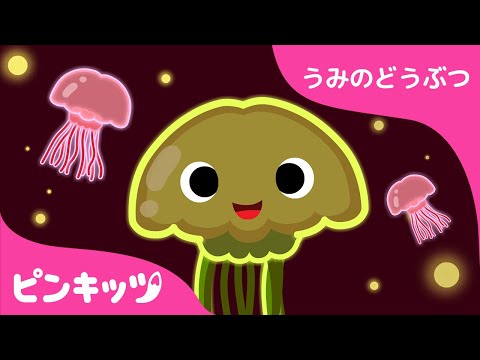 クラゲ | うみのどうぶつ | どうぶつのうた | 楽しく学ぼう！ | ピンキッツ童謡