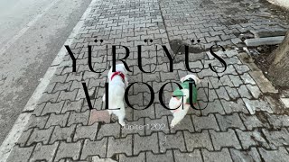 Yürüyüş Vlog
