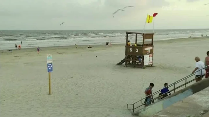 5-year-old girl bit by shark