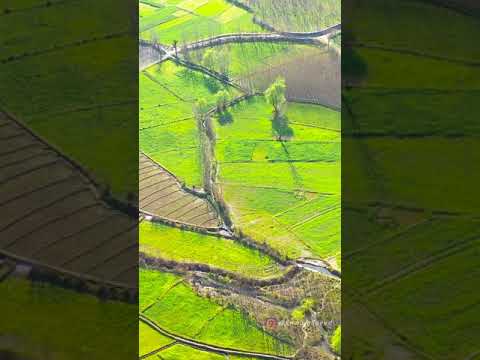 Dadahara Swat Valley Kpk Pakistan 