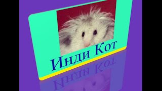 877 уровень   Инди кот